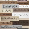 haider_qamar1