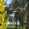 bayan.kokash