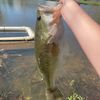 769_fishing