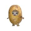 mslittlepotato