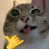 jyancukmiin