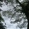 susucoklate_