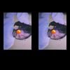 czx_yayaa