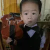 pdvippro_2