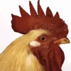 aduanhbo_28