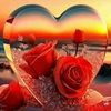 user7242496677716