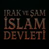 mslman484