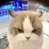 no_5421