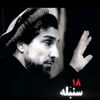 ahmadi9926