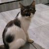 srihida04