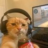rafz_rilll