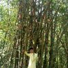 sabbir432121