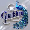 snupi.guadalupi