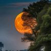 nature_seeker8