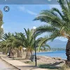 mihaelakmg