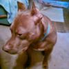 debbiedebsd5