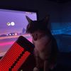 rustlove74
