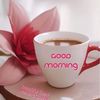 muhammed.ashraf245