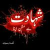 313mujahidin