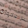 user1256186028118