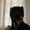 sirmario153