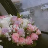 daliia.11