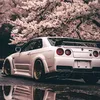 sasi_278