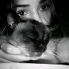 _mtinhas