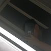 adael.gonzalez00