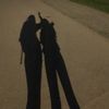 brook_vper8