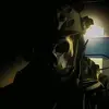 zullxd2