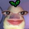 myrelllllllllll1