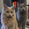 Tom & Mimi