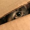 catmom1335
