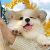 mon_thuy1610