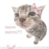 562_lenaberry_