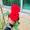 minni.ayat.muskan