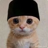 user32263182611816