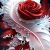 shan.o.wal