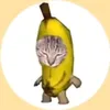 cr0cs_blancs