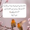 pathan84405