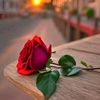 haji.saleem253