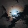 kartoka_