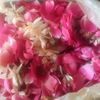 pari.queen8878