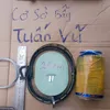 TUẤN VŨ bán bẫy kẹp