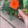 b.dng296