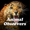 animalobservers666