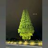 user32411861068701