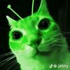 yttaa_0408