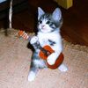 muzika_008